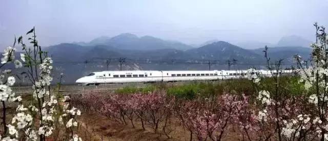 上海鐵路客運迎來新發(fā)展 專訪郭竹學(xué)局長解讀重大信息